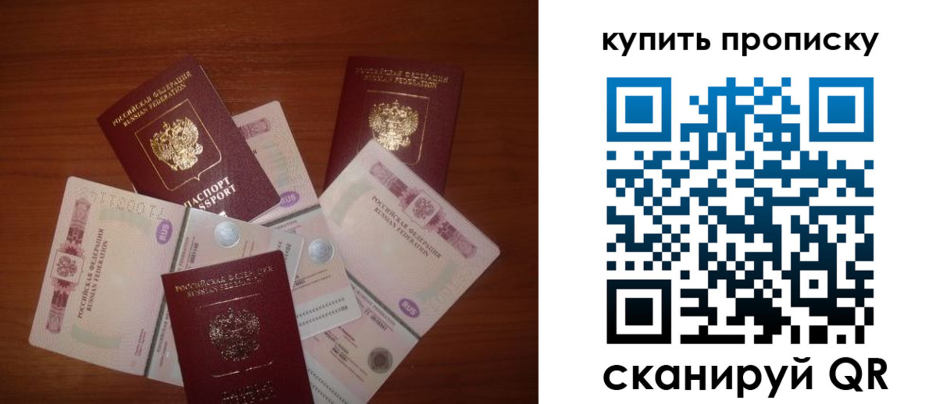 прописка регистрация в Камышине